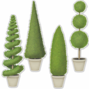 Sticker Cypress Collection Topiaire Jardin de charme