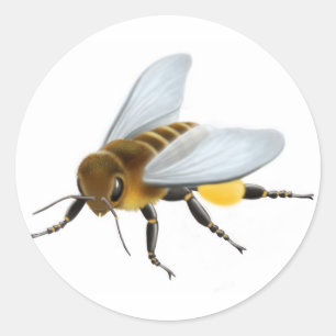 Sticker d'abeille au miel