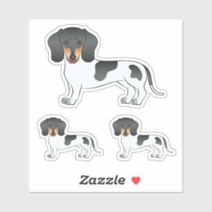 Sticker Dachshund à poil court piebaldo noir et feu