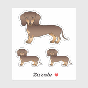 Sticker Dachshund à poil lisse chocolat et fauve Chien mig