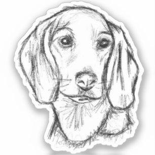 Sticker dachshund chiot chien noir blanc simple croquis