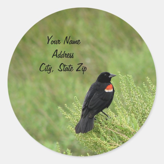 Sticker d'adresse Blackbird Redwing (Devant)