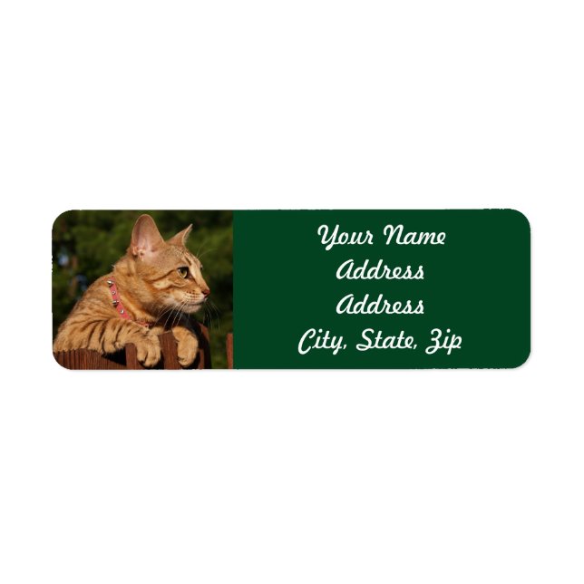 Sticker d'adresse de retour de Savannah Cat (Devant)