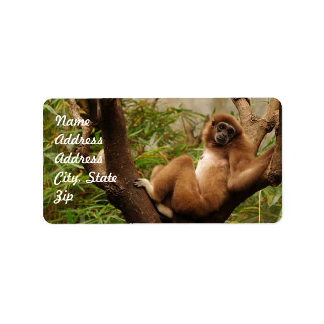 Sticker d'adresse de singe (Devant)