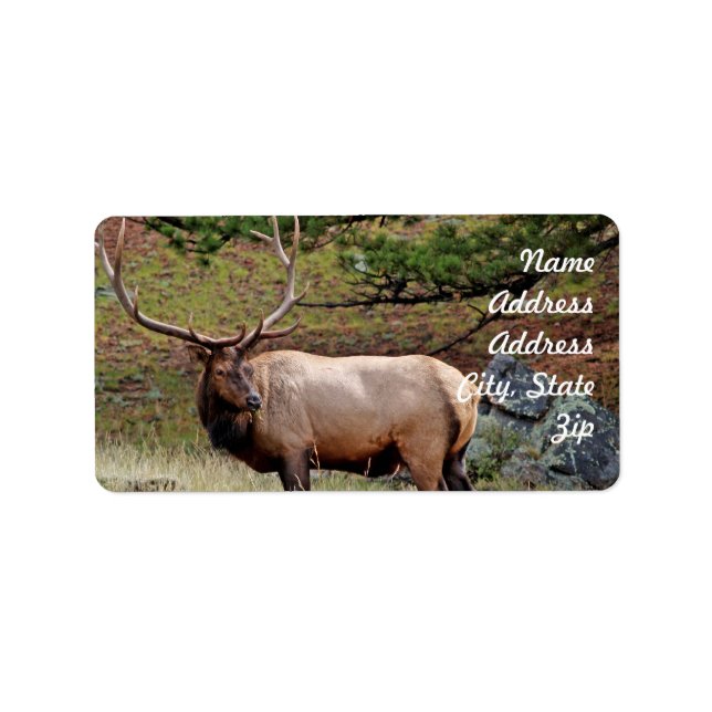 Sticker d'adresse Elk (Devant)