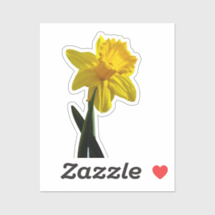 Sticker Daffodile