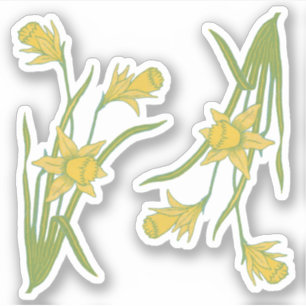 Sticker Daffodiles du jour de Saint-David ou de Saint-Pira