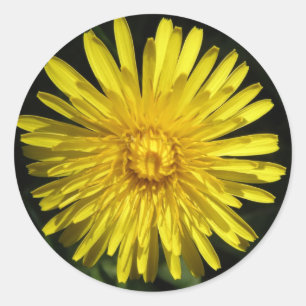 Sticker Dandelion