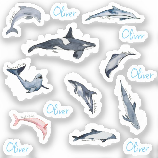 Sticker Dauphin orca aquarelle dessin nom personnalisé (Recto)