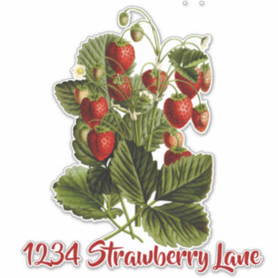sticker de boîte aux lettres de fraises