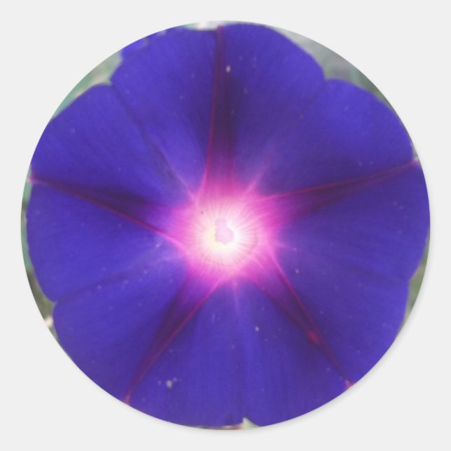 Sticker de gloire du matin sombre (Devant)