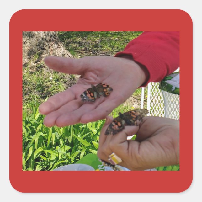 Sticker de libération papillon (Devant)