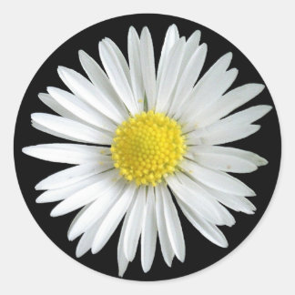 Sticker de marguerite