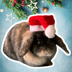 Sticker de Noël sur mesure Holland Lop Bunny Daisy