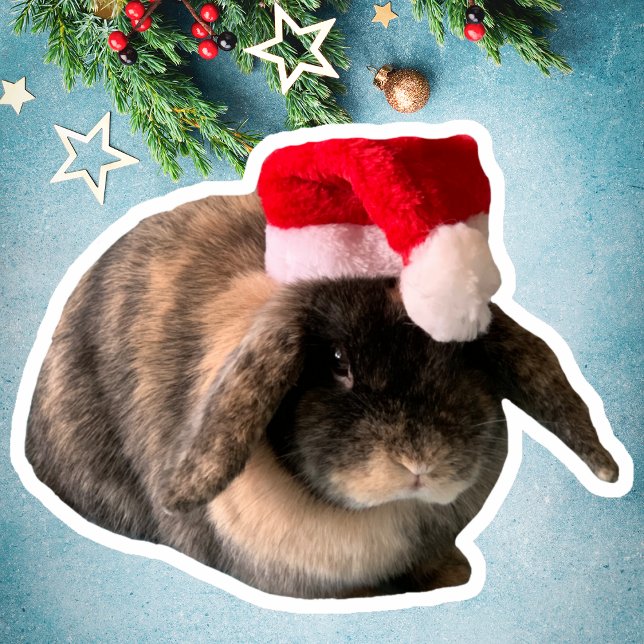 Sticker de Noël sur mesure Holland Lop Bunny Daisy (Créateur téléchargé)