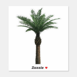 Sticker de palmier indien