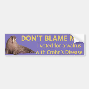 Sticker de pare-chocs amusant