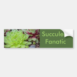 Sticker de pare-chocs fanatique Succulent