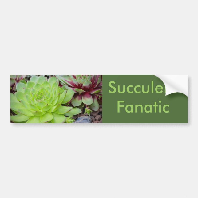 Sticker de pare-chocs fanatique Succulent (Devant)