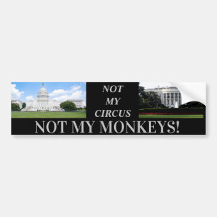 Sticker de pare-chocs MONKEYS D.C