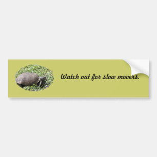 Sticker de pare-chocs, Tortue de gopher