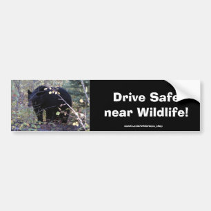 Sticker de protection contre la conduite de l'ours