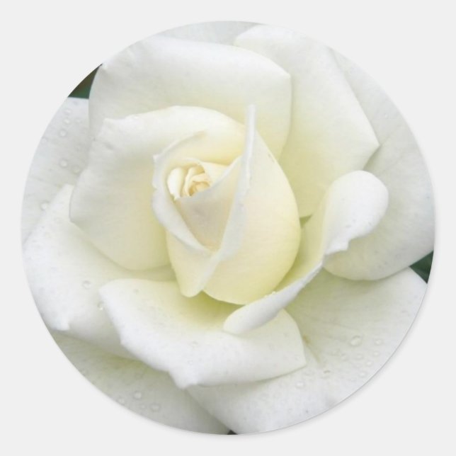 Sticker de significations roses (Devant)