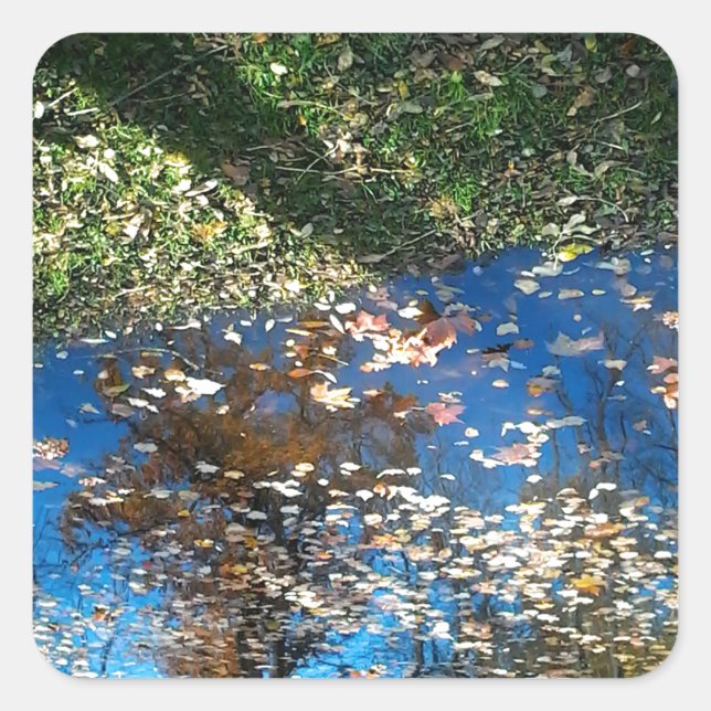 Sticker de Thanksgiving d'automne Miroir Mirror (Devant)