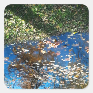 Sticker de Thanksgiving d'automne Miroir Mirror