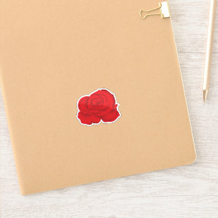 Sticker Décalages De Voiture Personnalisés. Étanche. Vinyl