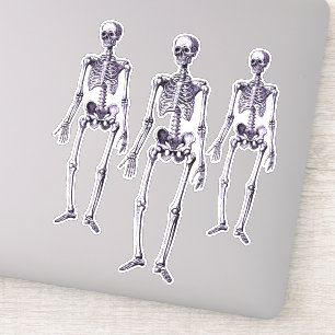 Sticker Décor de la fête d'Halloween dans les squelettes