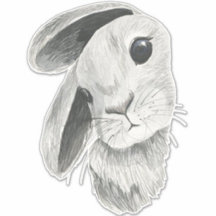 Sticker Décoration de chambre pour bébé lapin curieux