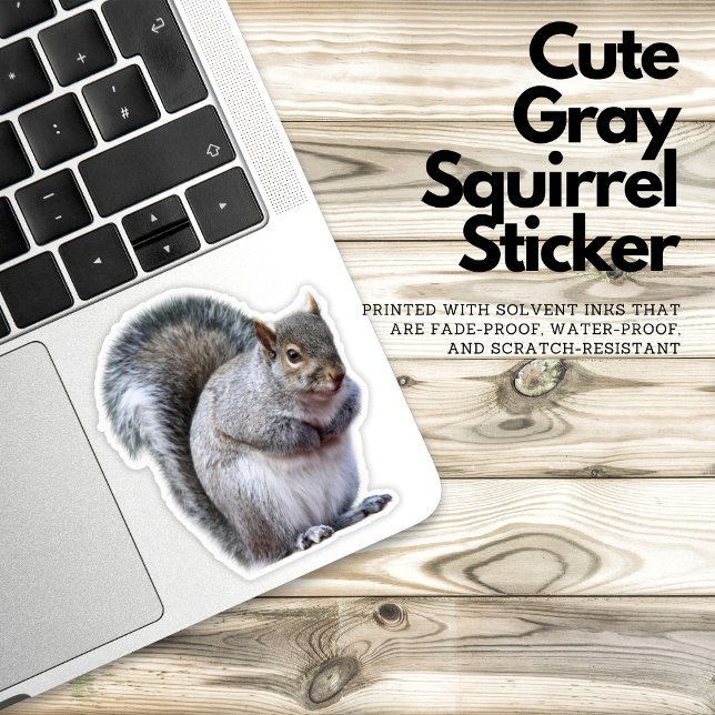 Sticker d'écureuil gris mou (gray squirrel sticker, cute animal sticker, nature lover sticker, wildlife sticker, vinyl sticker, w)