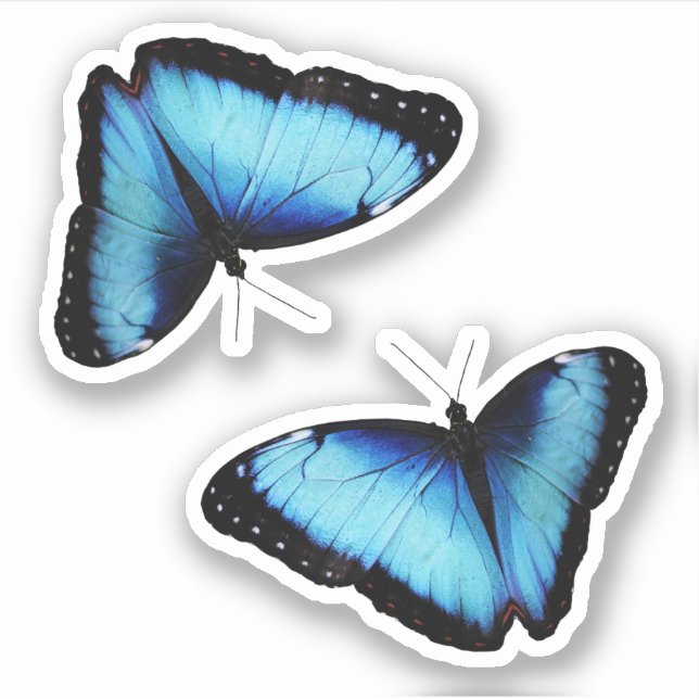 Sticker Design inspiré de la nature (Devant)