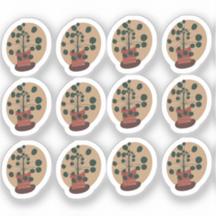 Sticker Dessin de plante Peperomia