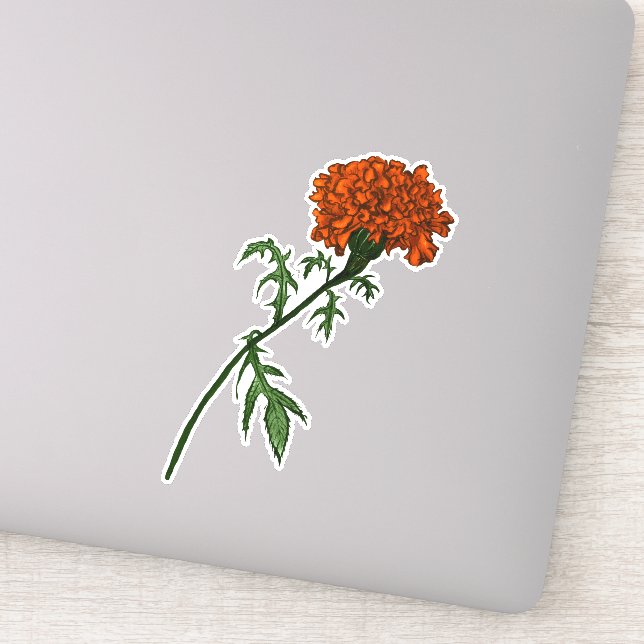Sticker Dessin d'encre de Fleur Marigold (Détail)