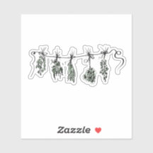 Dessin du plante botanique de Garden Herbs