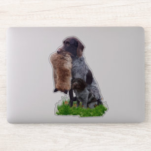 Sticker Deutsch Drahthaar