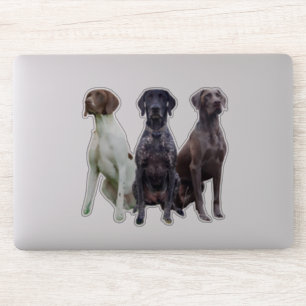 Sticker Deutsch Kurzhaar (GSP)