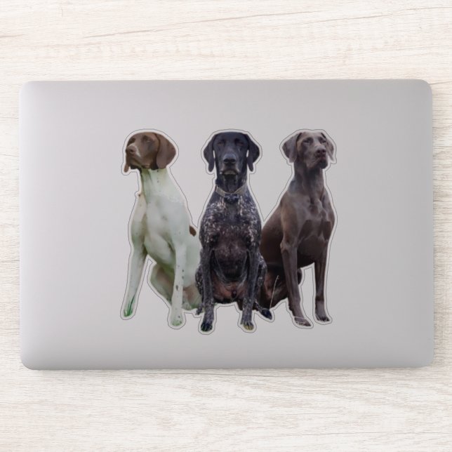 Sticker Deutsch Kurzhaar (GSP) (Ordinateur)