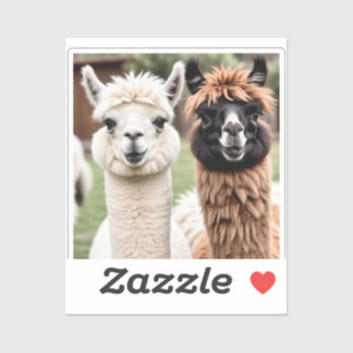 Sticker Deux lamas