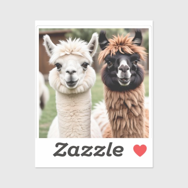 Sticker Deux lamas (Feuille)
