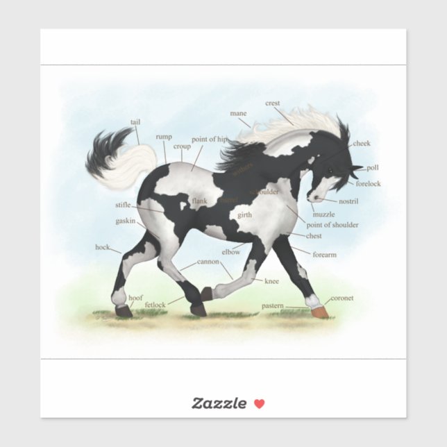 Sticker Diagramme équestre Piebald Overo Pinto Horse (Feuille)