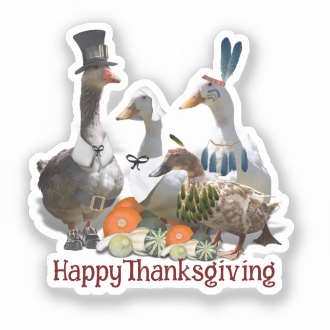 Sticker Dindon de Thanksgiving Canards Oies Pèlerin  (Recto)