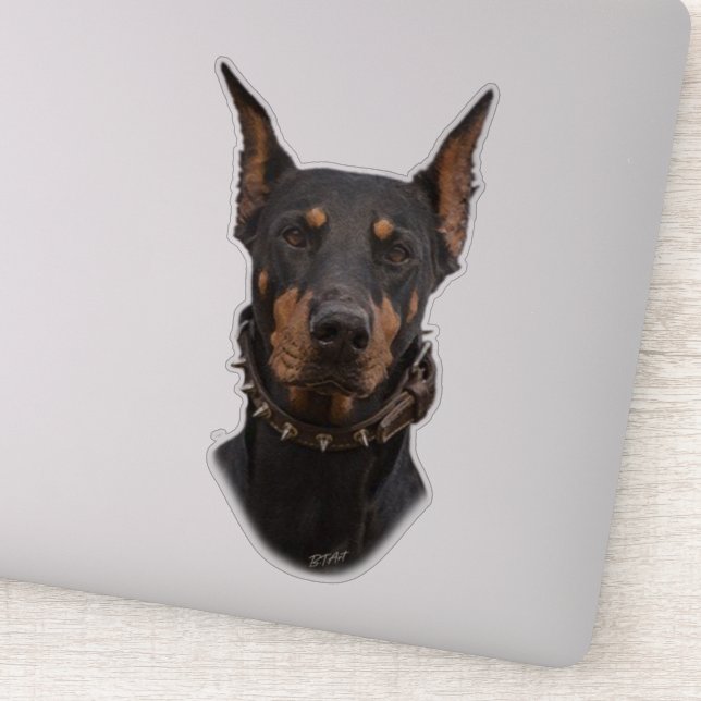 Sticker Doberman Pinscher (Détail)