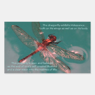 Sticker dragonfly brillant