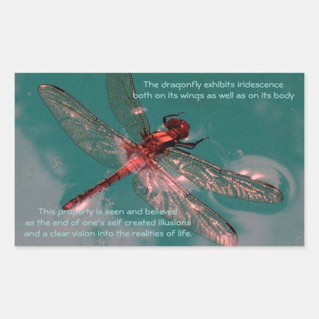 Sticker dragonfly brillant (Devant)