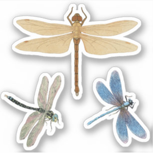 Sticker Dragonlies vintages