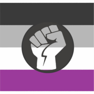 Sticker Drapeau de protestation asexué