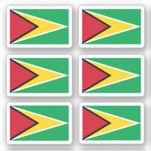 Sticker Drapeau guyanais